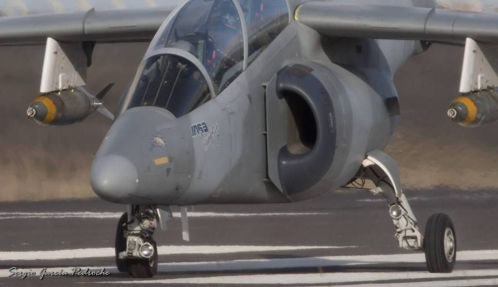 Pampa-Larus16-1_zpsptpuhvv2.jpg~original