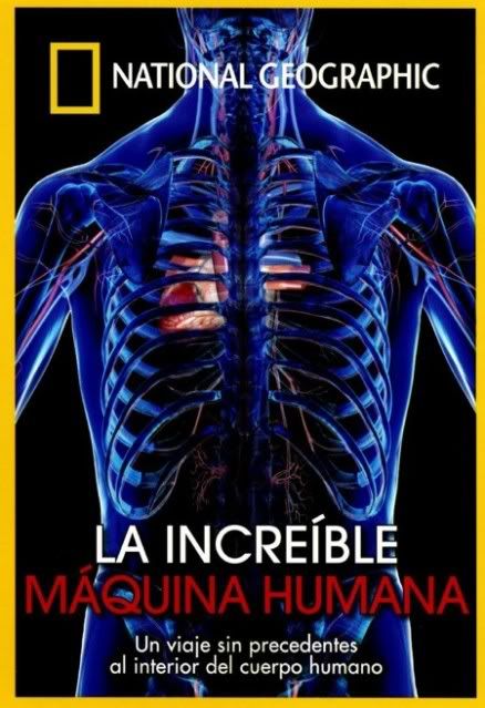 N361 zpsc058c222 - La Increíble Máquina Humana (2008) (Nat. Geo.) [DVD5]
