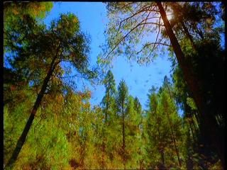 PDVD 003 zps2475b40e - Viajes Asombrosos [IMAX] (2001) [DVD5]