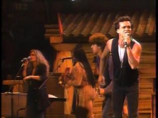 PDVD 004 zps93badb62 - Bob Dylan 30th Anniversary Concert Celebration [1993] [2 DVD-9] [NTSC] [VH]