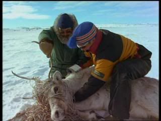 PDVD 006 zps93142e05 - El Gran Norte [IMAX] (2001) [DVD5]