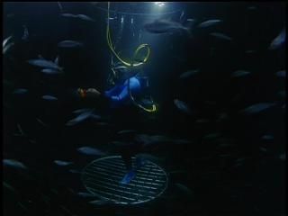 PDVD 006 zpsd902ad9f - En Busca de los Grandes Tiburones [IMAX] (1999) [DVD5]
