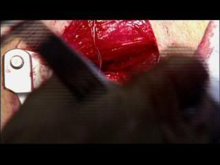 PDVD 007 zpsf0a812dc - La Increíble Máquina Humana (2008) (Nat. Geo.) [DVD5]