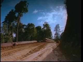 PDVD 008 zps34d0b2b3 - Selvas Tropicales [IMAX] (1999) [DVD5]