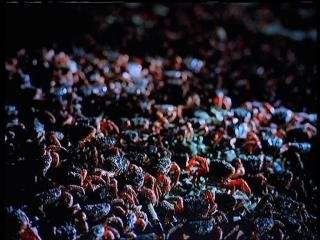 PDVD 008 zpse35f97a4 - Viajes Asombrosos [IMAX] (2001) [DVD5]