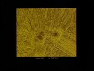 PDVD 009 zps904b2ab6 - Solarmax [IMAX] (2002) [DVD9]