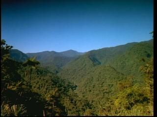 PDVD 012 zpse4680b02 - Selvas Tropicales [IMAX] (1999) [DVD5]