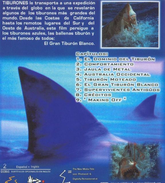 t2 zpsdd064e70 - En Busca de los Grandes Tiburones [IMAX] (1999) [DVD5]
