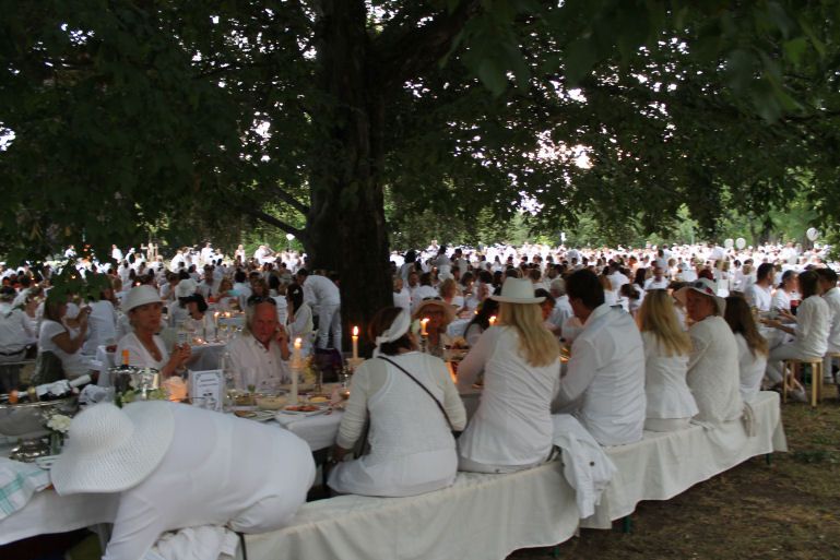 Le Diner en Blanc - Darmstadt 2014 - 7