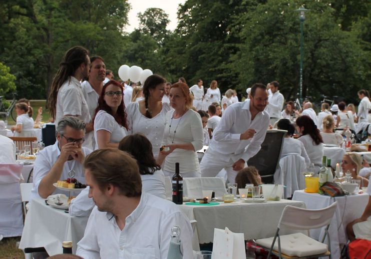 Le Diner en Blanc - Darmstadt 2014 - 10