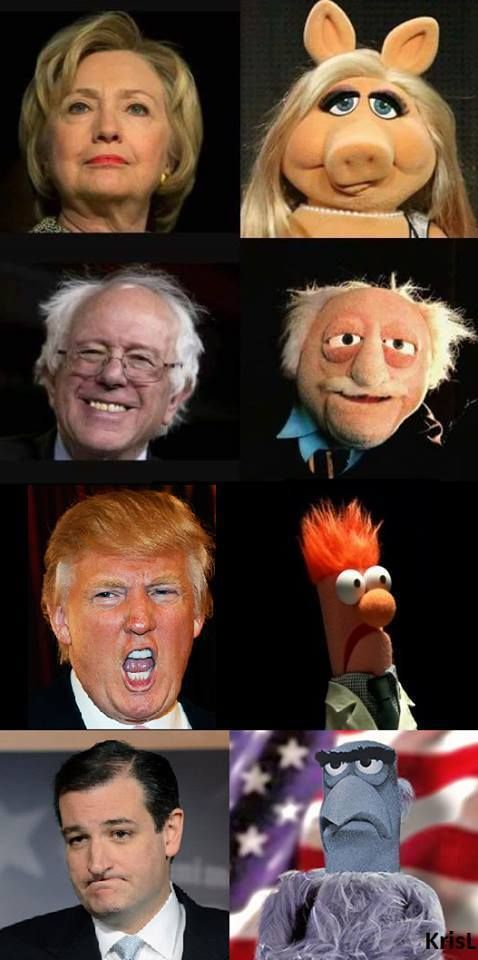 Welchen Muppets sehen die US-Präsidentschaftskandidaten ähnlich?