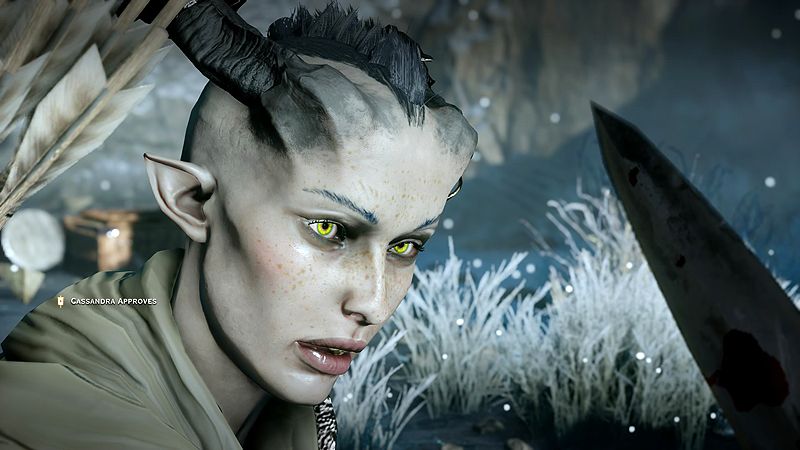 DragonAgetrade_Inquisition_2015010313022