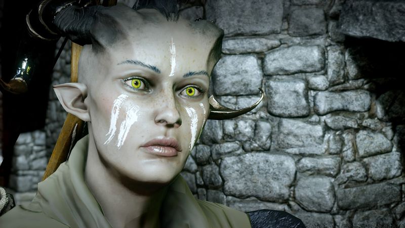 DragonAgetrade_Inquisition_2015010313273
