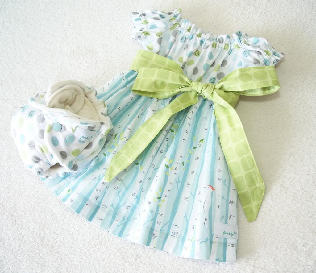 Birch Forrest Infant Dress and Newborn Fitted Hybrid Diaper Set