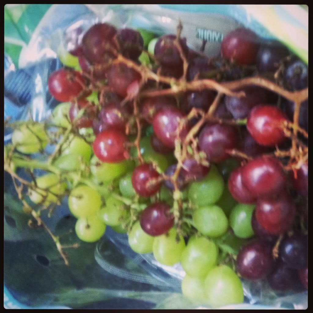 grapes