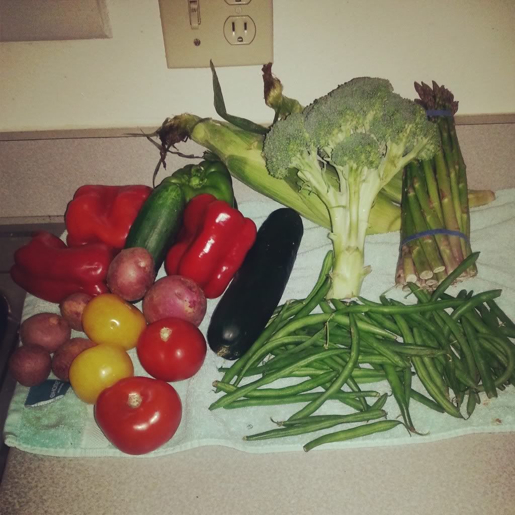 Farmers Market Vegetables in Fort Collins, Colorado