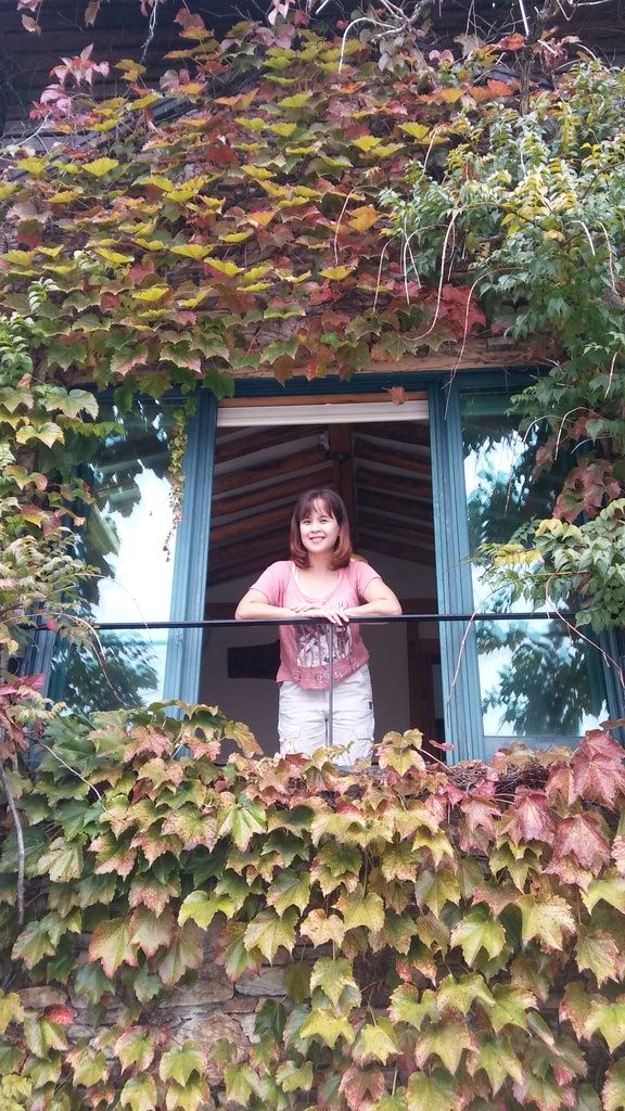 photo 20160928_111057_zpsvvqikvqc.jpg