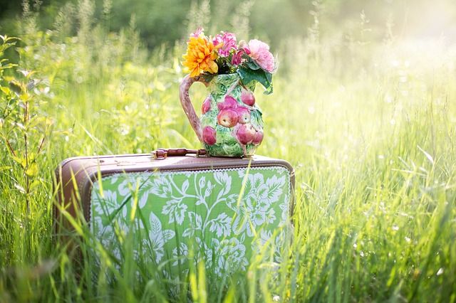 photo summer-still-life-785231_640_zpsvvc5ysmc.jpg