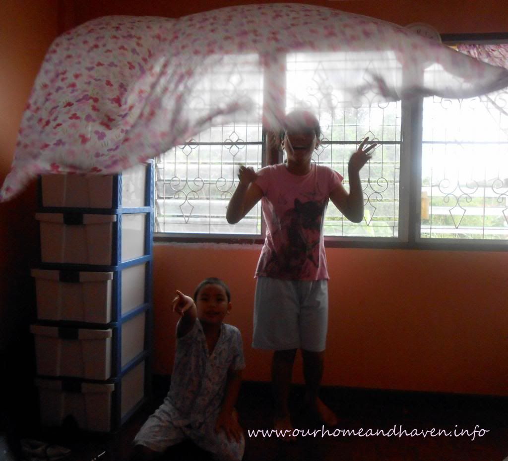 photo windy2_zps69ae40fc.jpg