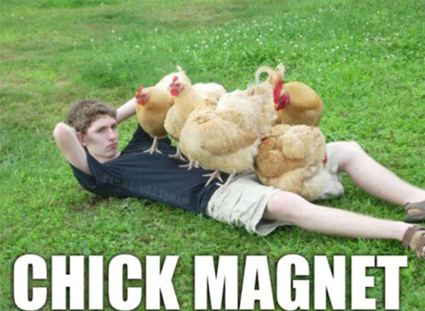 ChickMagnet_zps369acd85.png