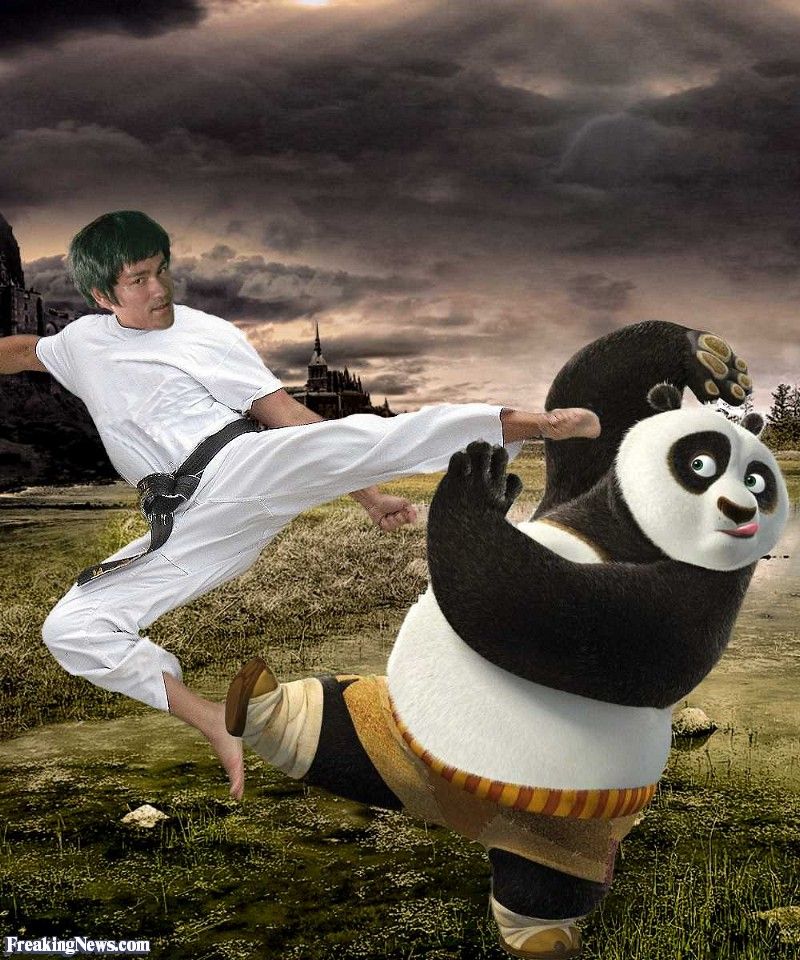 Bruce-Lee-Kicking-King-Fu-Panda--92440_z