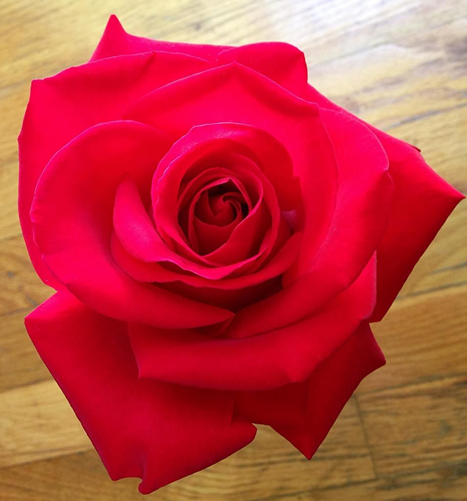  photo 2e49d5d5-717d-4e7e-8b42-98aa2e796a85_zpsab288cf9.jpg