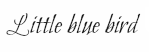  photo Littlebluebird_zps8ec55e56.png