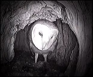 out040914_zpsb0caccfb.jpg
