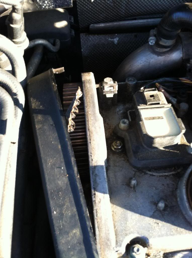 Timing belt, tear down rebuild? project (suggestions encouraged) VW