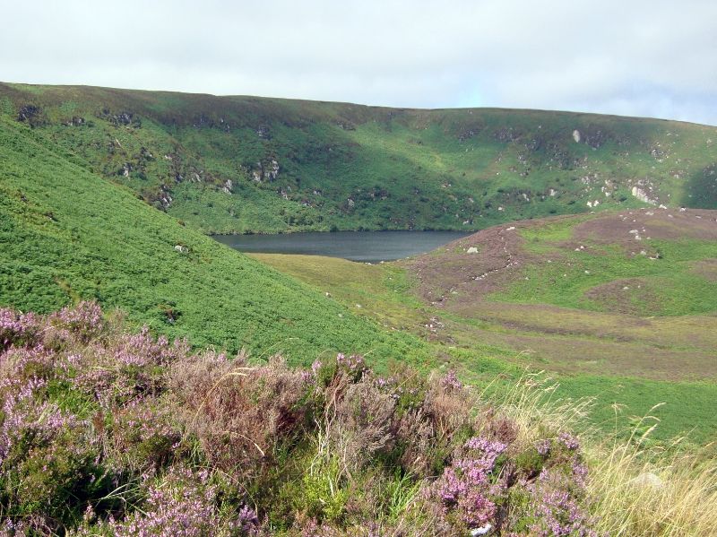 Irlanda por libre: Itinerarios, consejos... - Foro Londres, Reino Unido e Irlanda