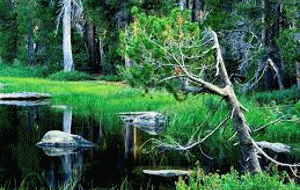  photo anigif7_zps141f4dab.gif