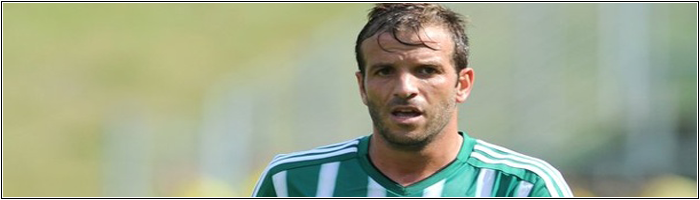 Ligue1-VanderVaart-Bordeaux_zps3gu6ufse.