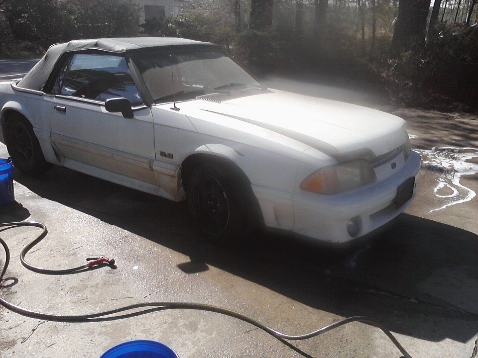 Mustangjob13_zps29cb13c1.jpg