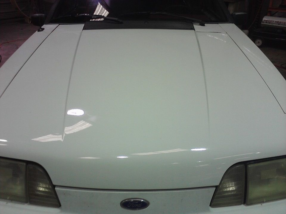 Mustangjob1_zps00a805e7.jpg