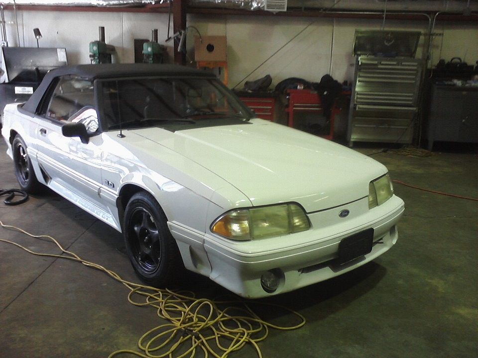 Mustangjob2_zpsb65f2c82.jpg