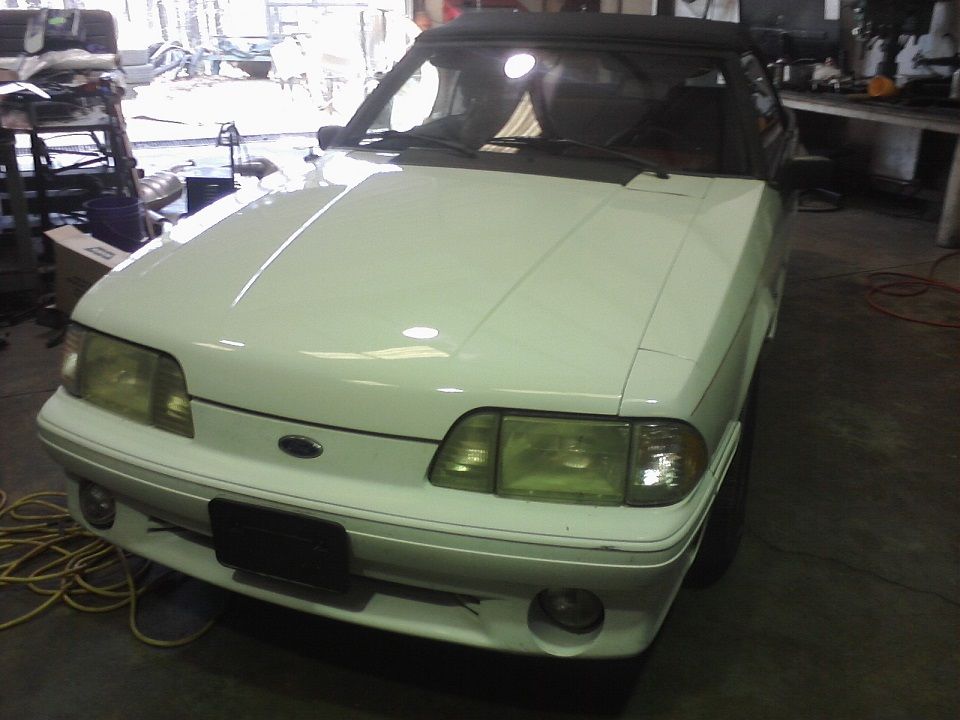 Mustangjob7_zps353c386b.jpg
