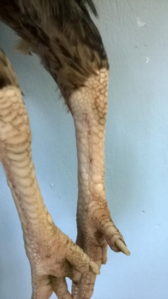 nhà dư mái cần bán bớt - 1