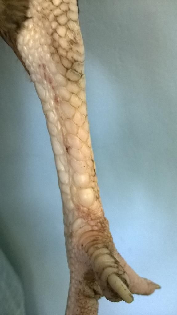 nhà dư mái cần bán bớt - 2