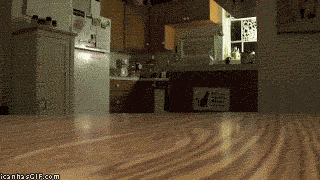 funny-gif-cat-eating-food-table_zpsbbf7e7f0.gif