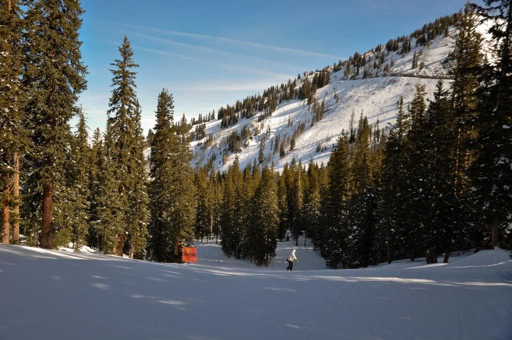 http://i1286.photobucket.com/albums/a620/kdunn2/Utah%20trip%20-%20snowbird/Utah%20trip%20-%20Brighton/DSC_0914_zps983f3d51.jpg