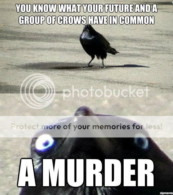 The Silly Pictures Thread! - Page 2 Insanity-crow-meme-murder_zps9b30956e