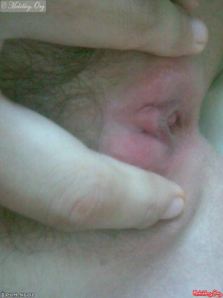© Mobiblog.Org