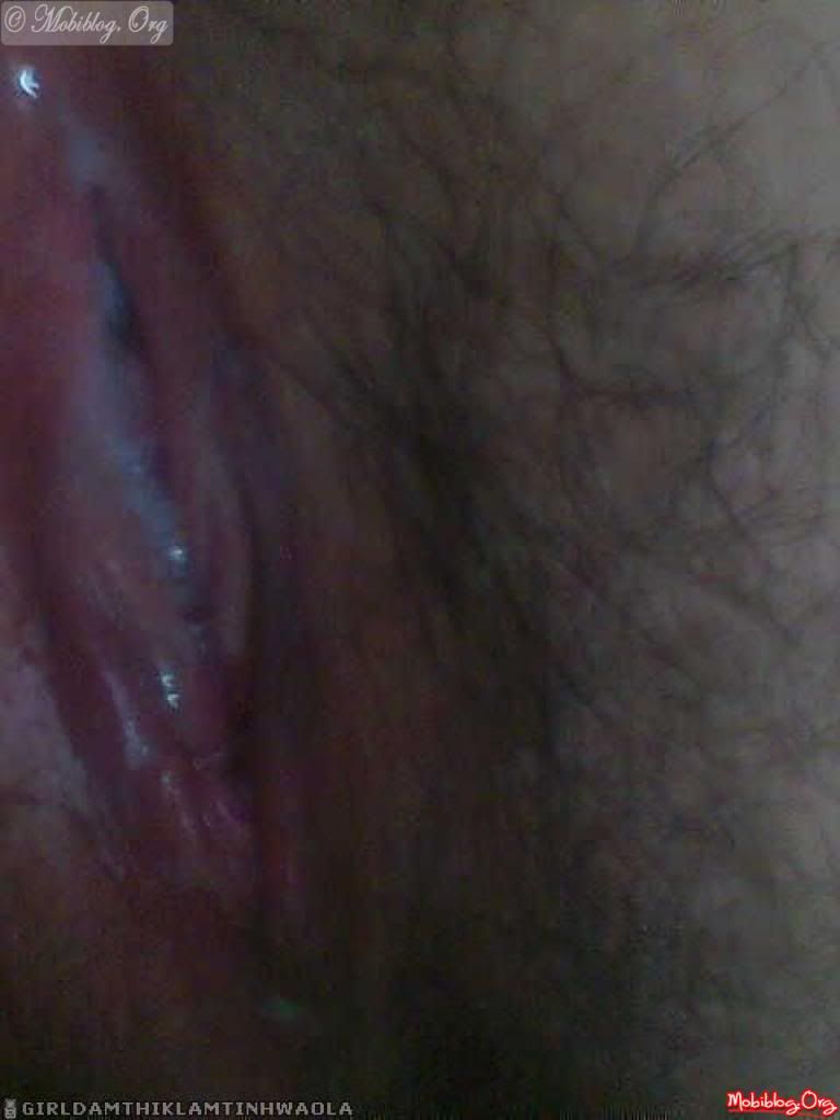© Mobiblog.Org
